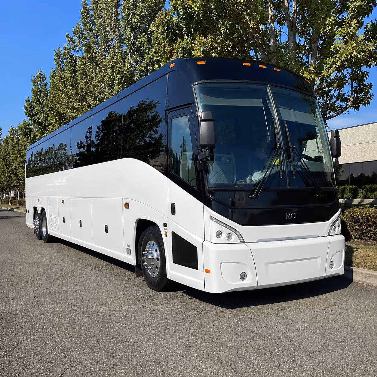clearwater 50 passenger charter bus
