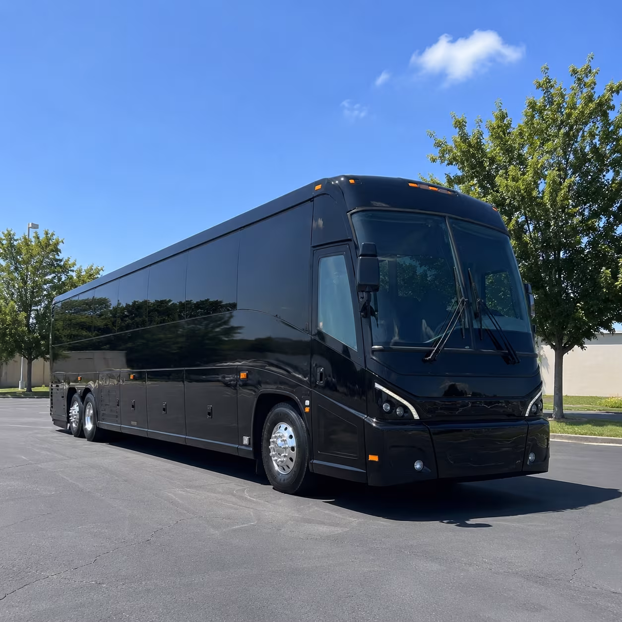 clearwater 56 passenger charter bus