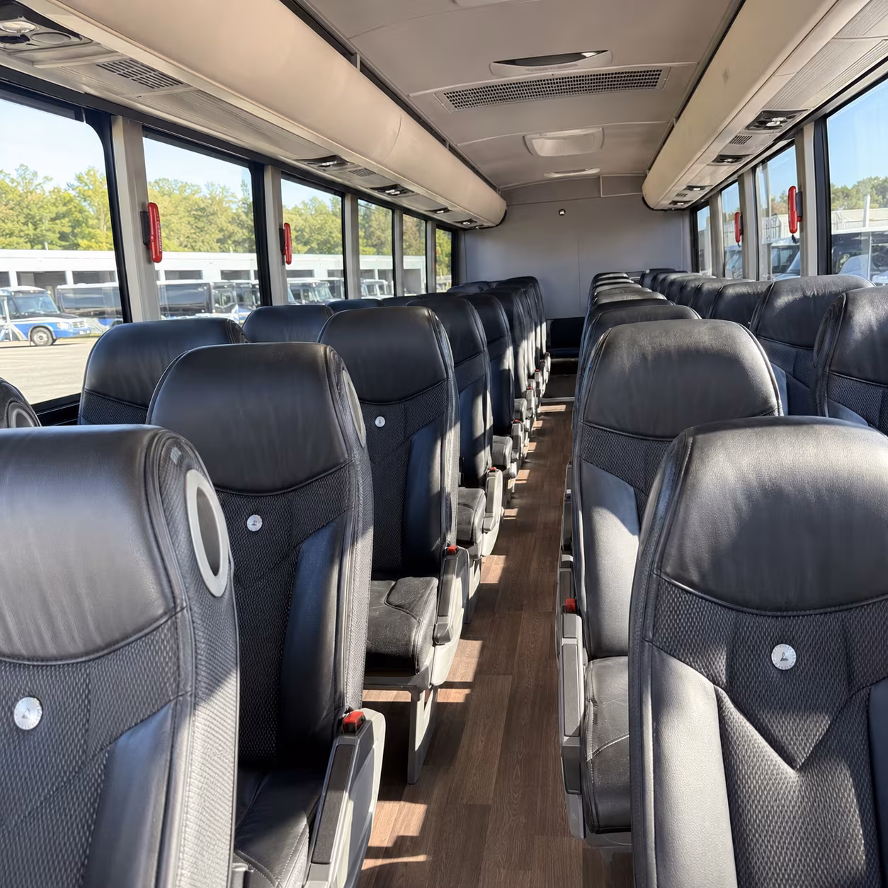 clearwater busch gardens tampa charter bus rental